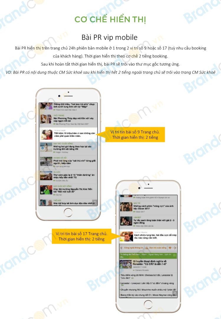 Báo giá đăng bài pr trên 24h